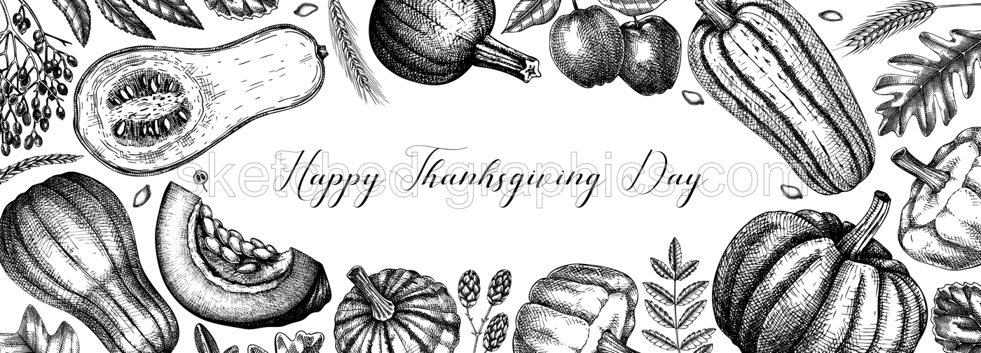 Thanksgiving background. Pumpkins black and white sketches.  Autumn plants and fruit drawings. Vector vegetables, butternut squash, marrow, pumpkin sketches. Fall banner design. Harvest festival. Illustration